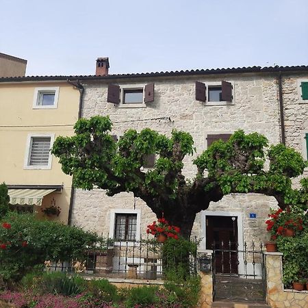 Vila Casa Girasole Buje Exteriér fotografie