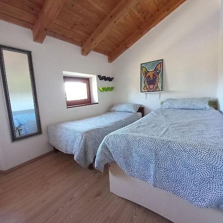 Vila Casa Girasole Buje Exteriér fotografie