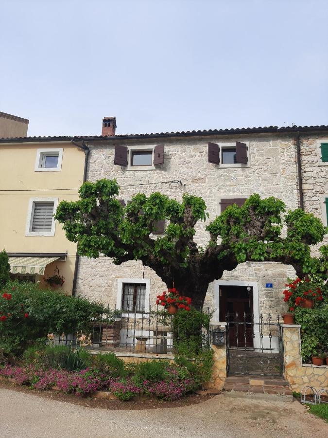 Vila Casa Girasole Buje Exteriér fotografie