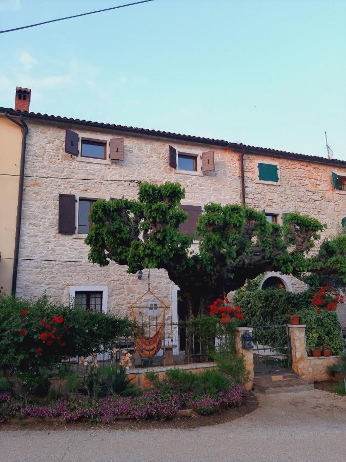 Vila Casa Girasole Buje Exteriér fotografie