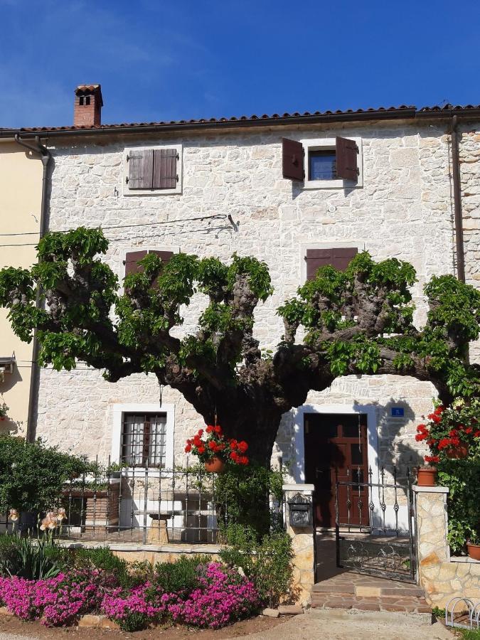 Vila Casa Girasole Buje Exteriér fotografie